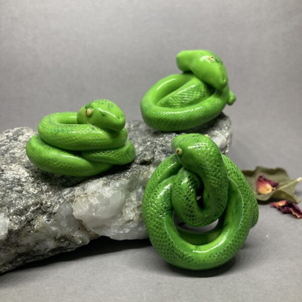 Random Mini Green Tree Python Spirit Animals