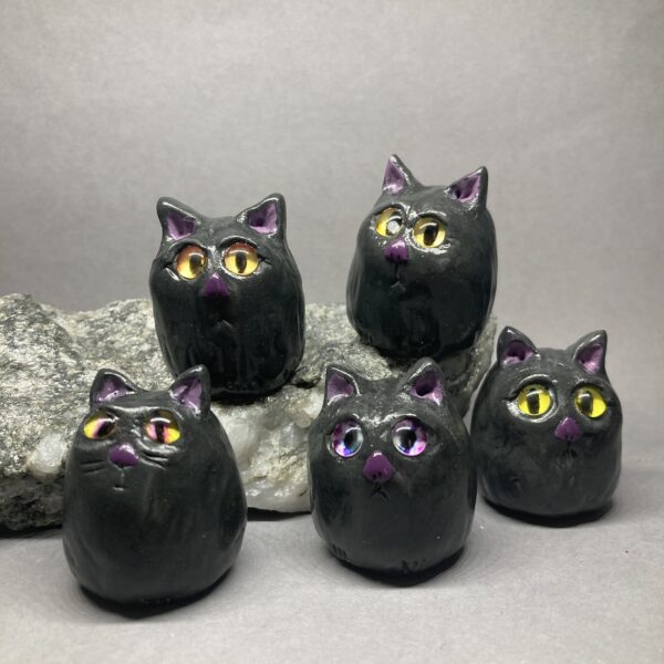 Random Mini Kittens | Black Cat Spirit Animals